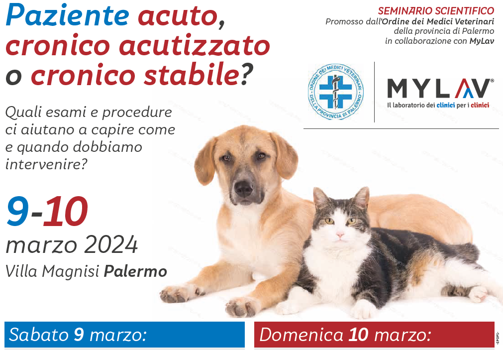 Seminario scientifico 'Paziente acuto, cronico acutizzato o cronico stabile?' 9 e 10 marzo