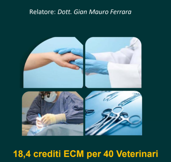 CORSO BASE CHIRURGIA
