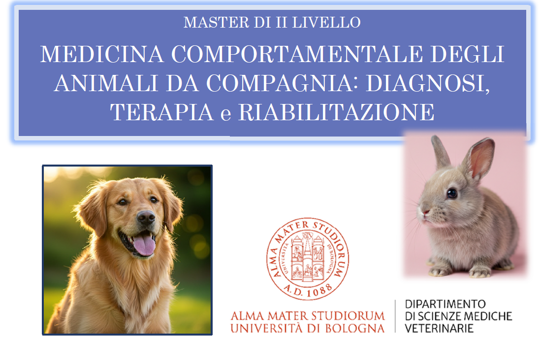 Master di II livello in Medicina Comportamentale degli Animali da Compagnia – A.A. 2025/2026 Master di II livello in Medicina Comportamentale degli Animali da Compagnia – A.A. 2025/2026